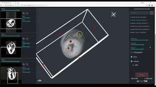 Online Medical Imaging Viewer - 3D Veterinary Anatomy & Learning IVALA®