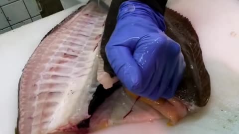 How to Fillet Giant Flounder