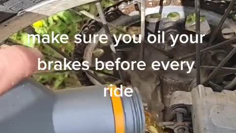 Be sure to oil the brakes before each ride