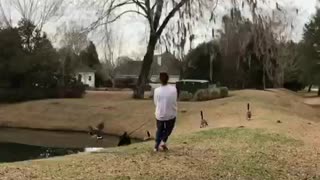 Girl in white gets pulled while black dog chases birds