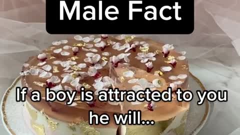 Male FactIf a boy is attracted to you he will...