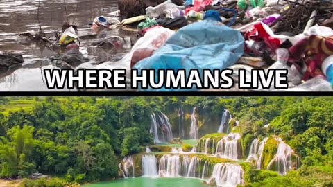 Where Animals Live vs Where Humans Live