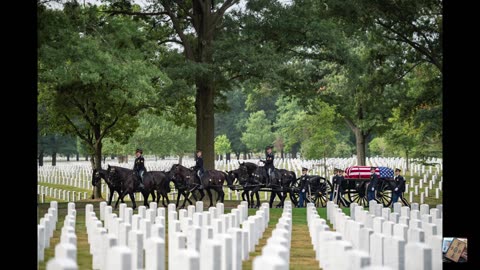 Memorial Day Tribute - Freedom Isn't Free