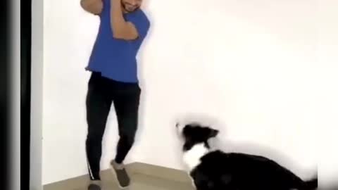 Dog danc to training