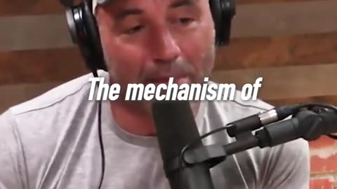 Joe Rogan on what's important in life