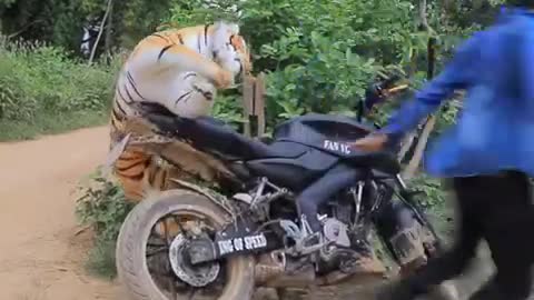 Amazing Funny Prank Fake Tiger Vs Men new content 2020