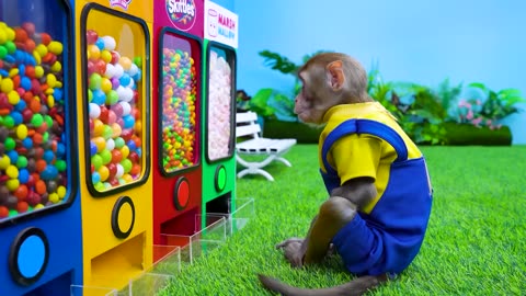 Monkey Koko's Supermarket Adventure: Rainbow M&M Candy Hunt 🐒🌈🛒