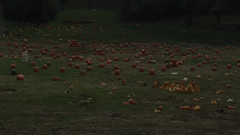 Smashing Pumpkins shootout