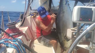 Catching yellowfin tuna fishing on the Pacific Ocean