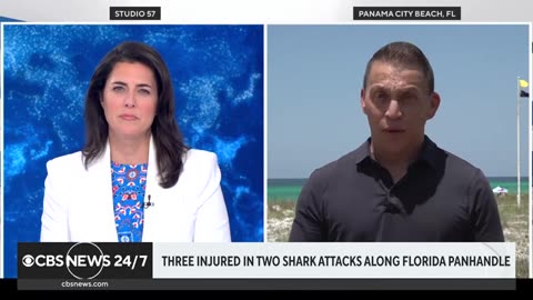 Swimmers told to stay alert after shark attacks in Florida and Hawaii CBS News