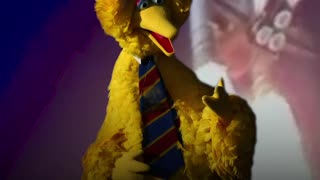 Did You Know Big Bird Was Almost Killed in Space