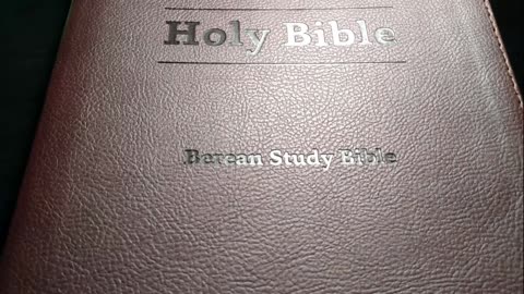 Berean Study Bible Review: The Complete Edition 2021