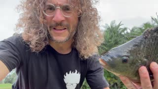 Florida Man Goes Fishing… His Catch Leaves Him SPEECHLESS! (This actually happened)
