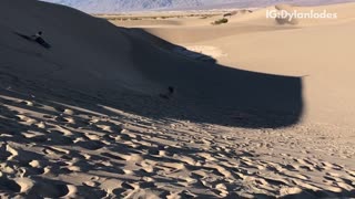 Two guys surf down sand dunes and fall down