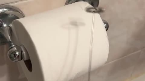 Always check hotel toilet paper