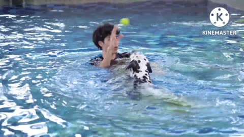 Young Man Playing With Pet Dog Swimming Pool & Outdoors