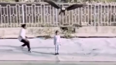 Eagle attack for boy but mom 😈 😱😱😱