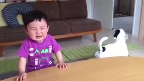 Dog cries with baby after eating baby's sweet