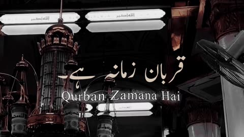 Qurban Zamana Hai Naat || Naat Status || Islamic Videos
