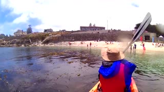 Kayaking in Monterey Bay - Returning to the Lover's Point Beach #Shorts