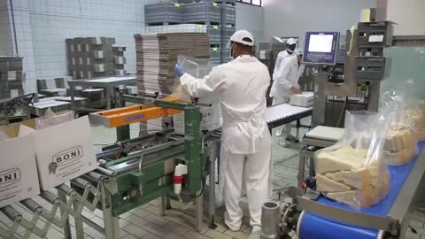 How Italian Parmesan Wheel of Cheese Is Made - King of Cheese 1000$ per Wheel Making in Factory