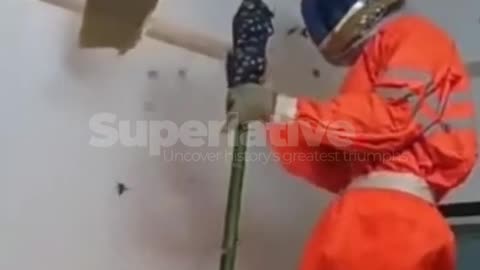 Watch as One Brave Soul Attempts to 'Burn the Bugs' INSIDE the House (Do Not Try At Home)
