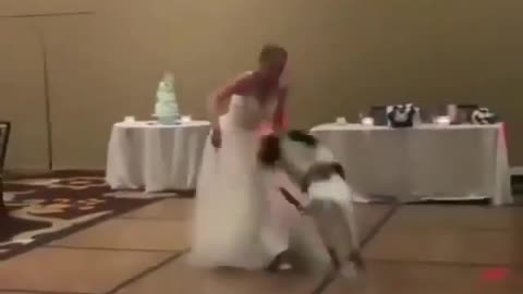 Adorable dog dancing with a bride.