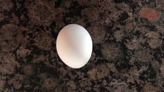 Egg at home