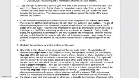 Mitosis and Meiosis Lab Video