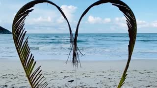 Sea Beach Love