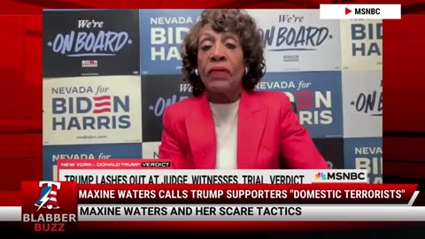 Maxine Waters Calls Trump Supporters "Domestic Terrorists"