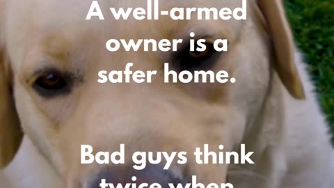 Dogs Love Gun Owners