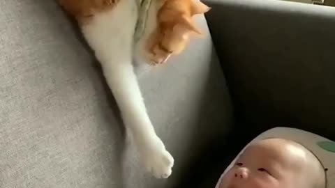 Cat 🐈🐱 play with cute baby , cat is holding baby's hand