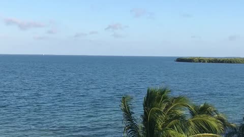 Rooftop Views #Belize