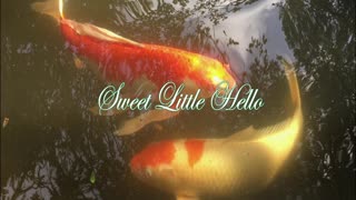 Sweet Little Hello - Solo Piano