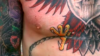 Double headed eagle tatt