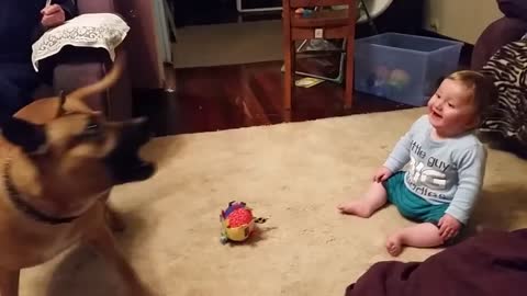 Baby laughing at dog & bubbles