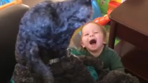 Dog And Baby Howl Together