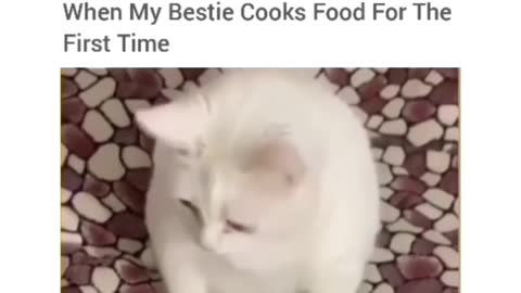 When my friend cooks food for the first time