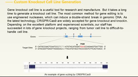 CRISPR/Cas9 Platform