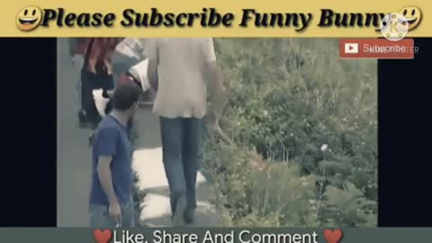 funny videos bull attack