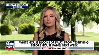 Kayleigh McEnany pushes back on "blocked" Fauci claim