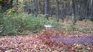 Drone sirve para volar las hoja, despeja el camino