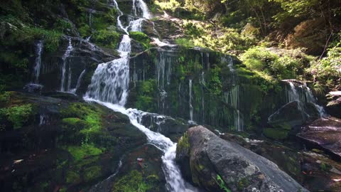 Waterfall || river || water || trees || enjoy || entertainment || relax