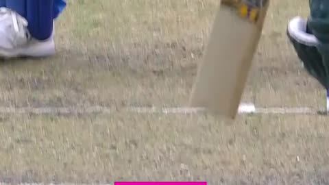 Cricket World Cup most unplayable deliveries