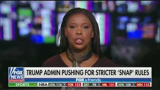 Fox News guest says some on Food Stamps need to get a job instead of watching porn all day