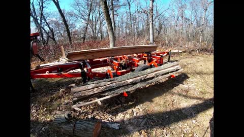 Wood Mizer LT35 Hydraulic Portable sawmill Deep in the woods cutting hard and nasty Red oak
