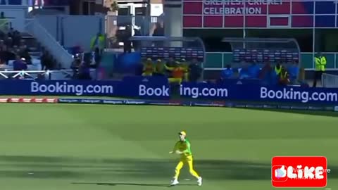 Starc all wickets In world cup 2019