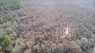 Waccamaw National Wildlife Refuge - Waccamaw River