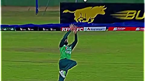 Super Catch | Cricket